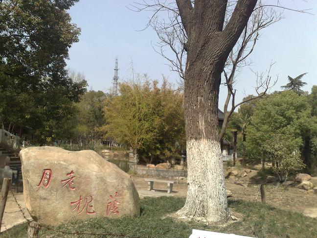 20110326122.jpg