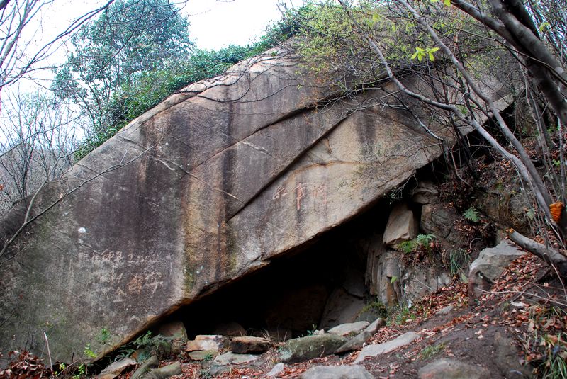 dsc_1880.jpg