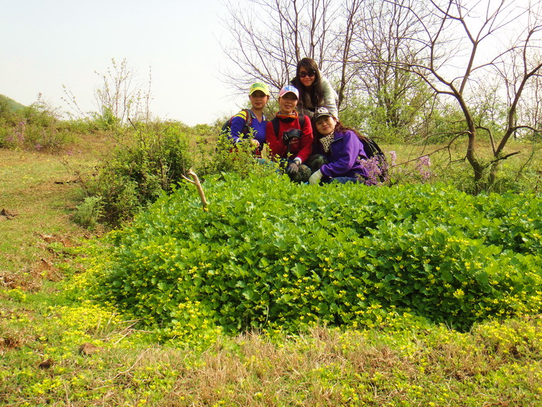 dsc06256.jpg