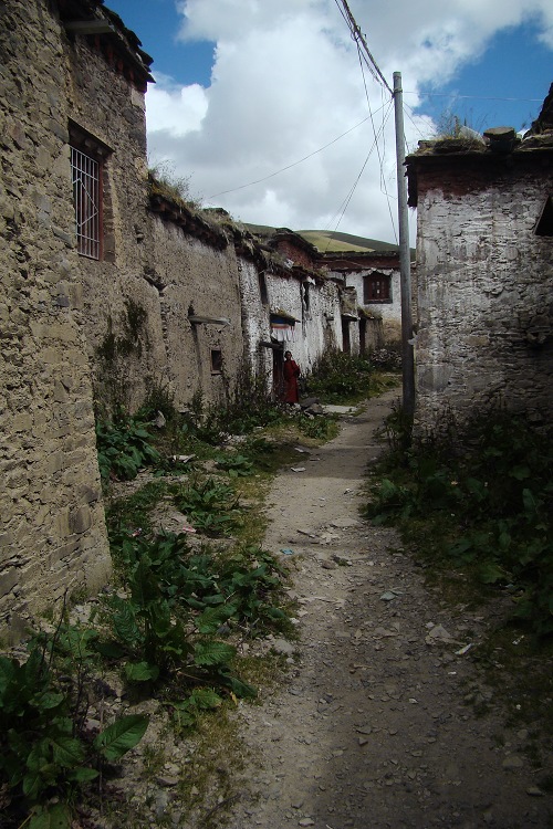 dsc02535.jpg