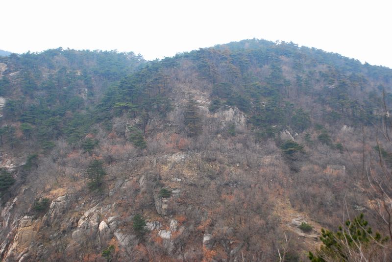 dsc_1939.jpg