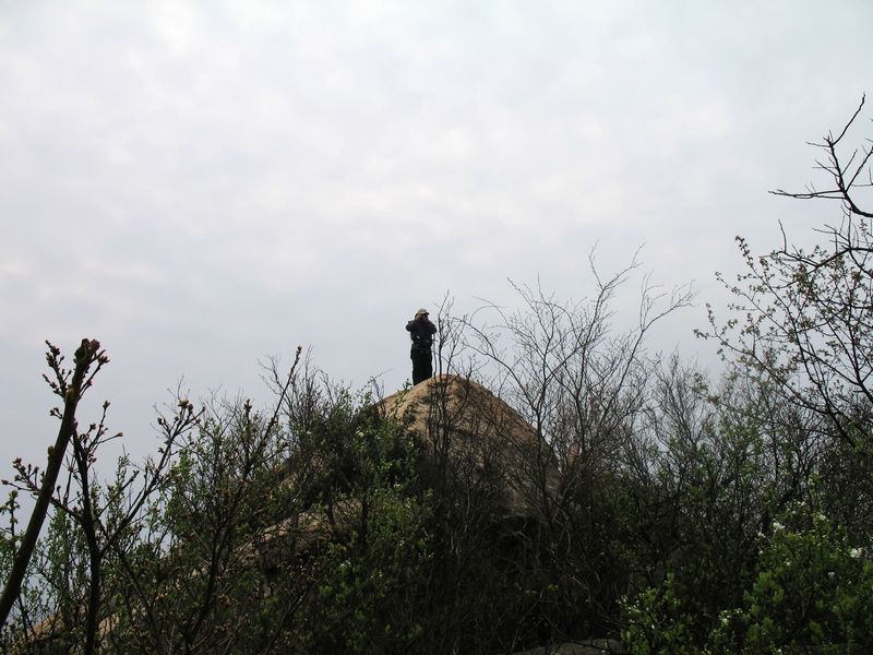 img_0246.jpg