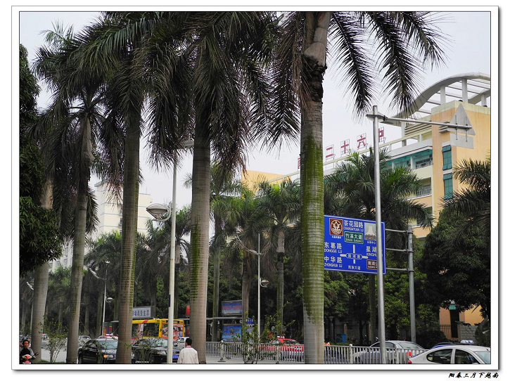 南宁街头.jpg