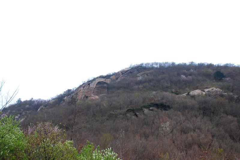 dsc_1914.jpg