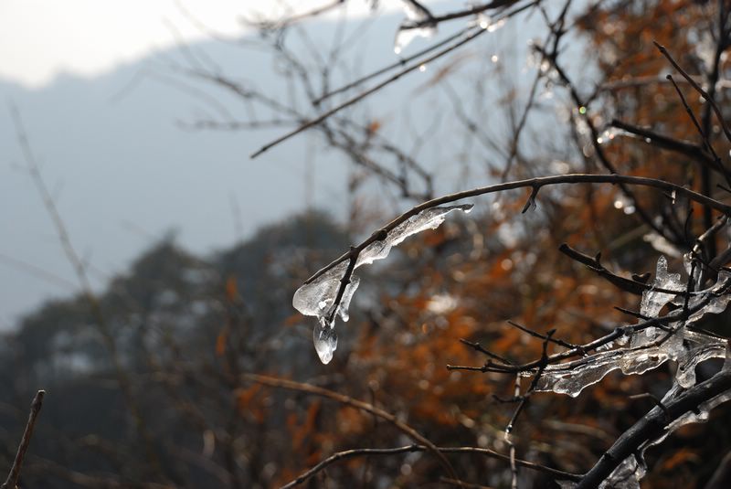dsc_1994.jpg