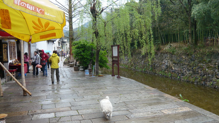 p1100757.jpg