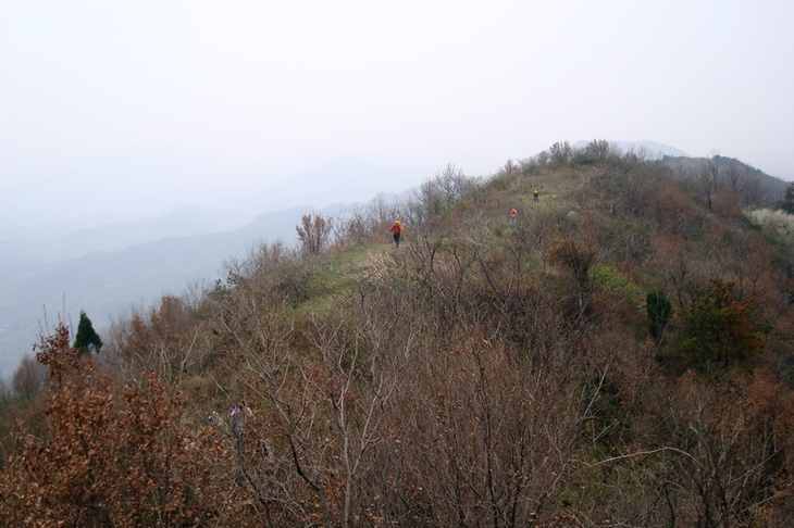 dsc09329.jpg
