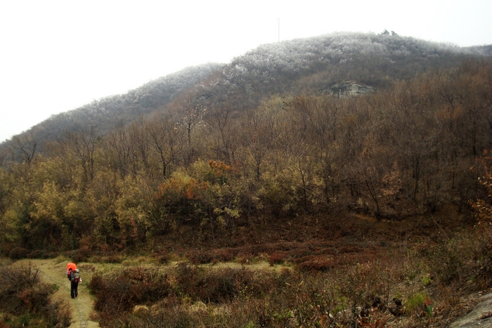 dsc09347.jpg