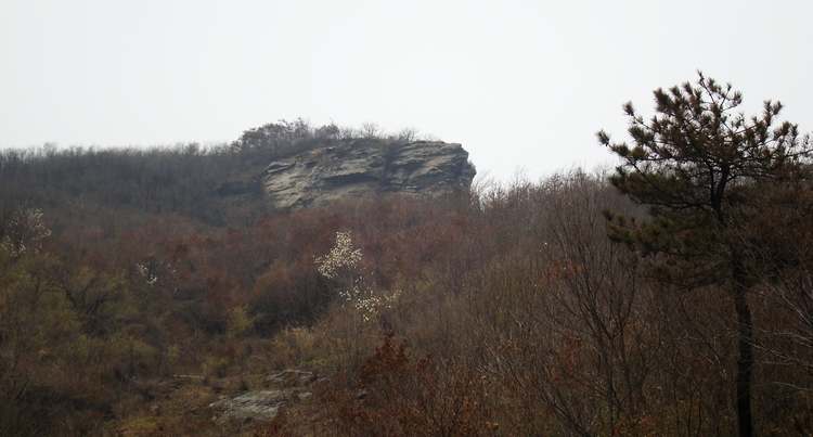 dsc09349.jpg