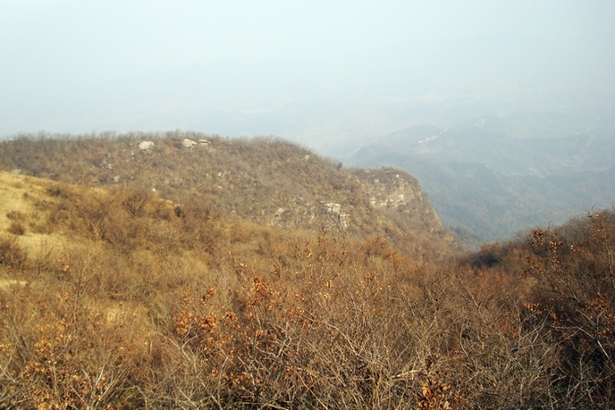 dsc09388.jpg