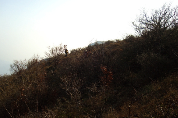 dsc09389.jpg