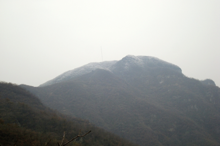 dsc09340.jpg