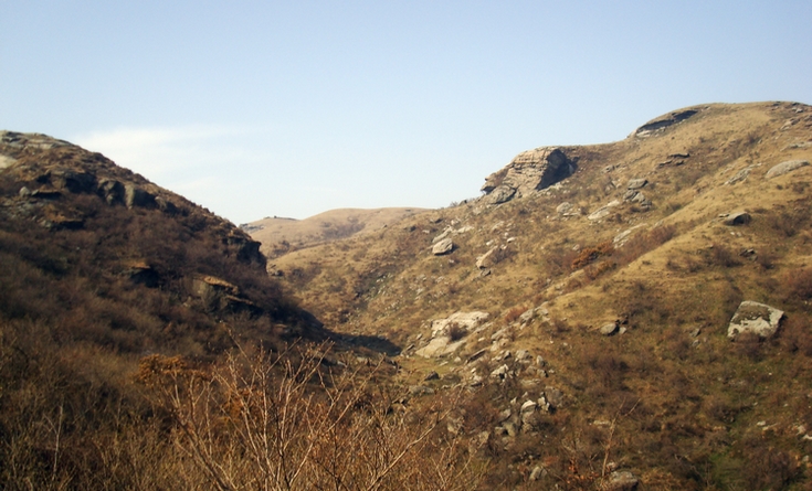 dsc09391.jpg
