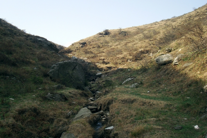 dsc09396.jpg