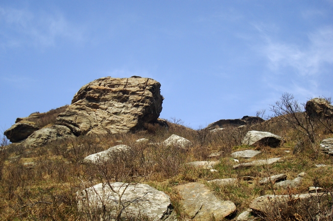 dsc09399.jpg