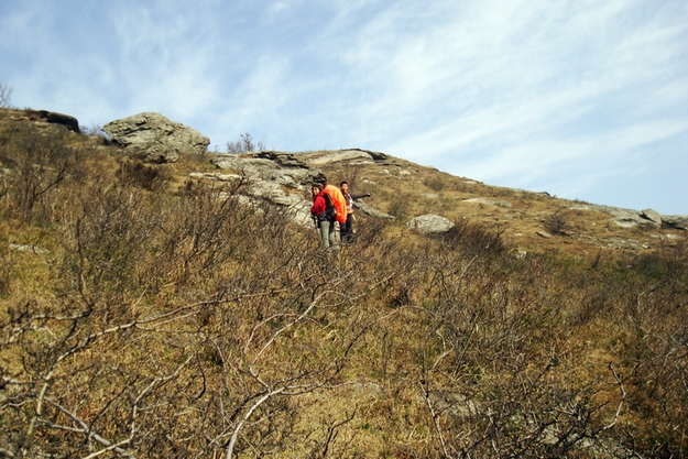 dsc09403.jpg