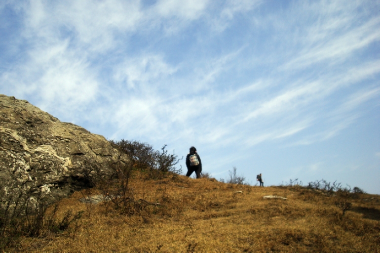 dsc09414.jpg