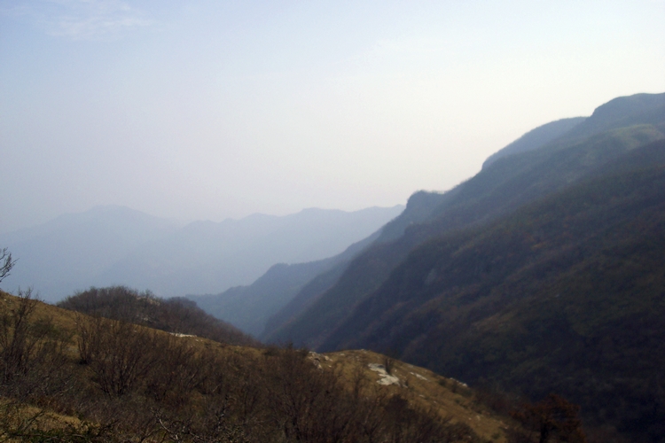 dsc09416.jpg