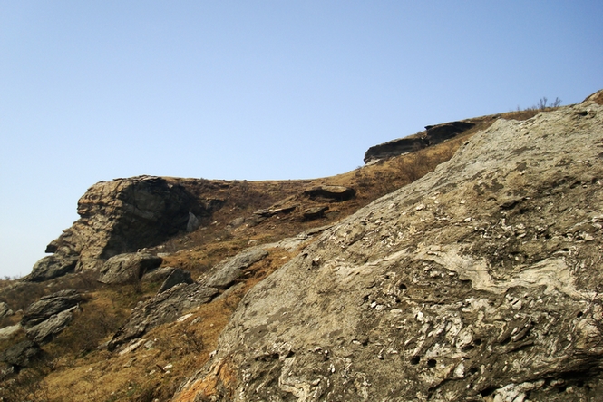 dsc09417.jpg