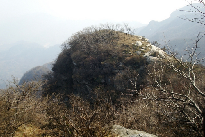 dsc09438.jpg