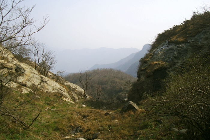 dsc09431.jpg