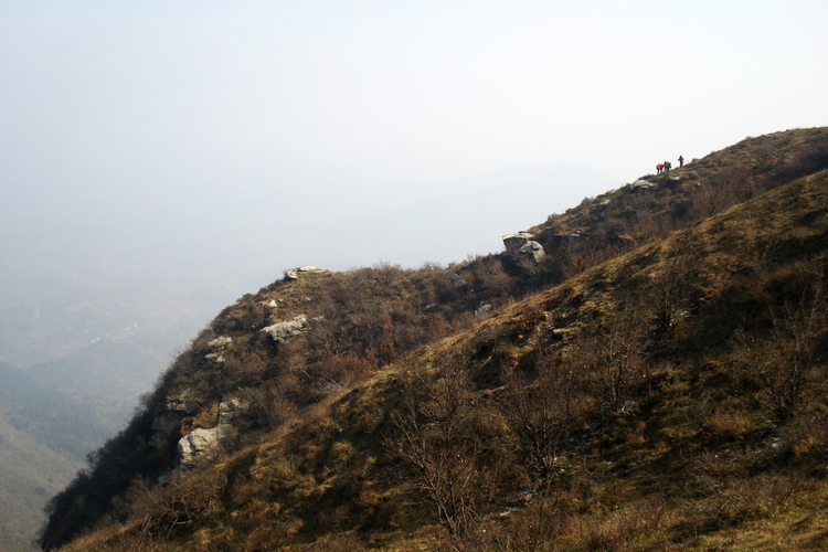dsc09445.jpg