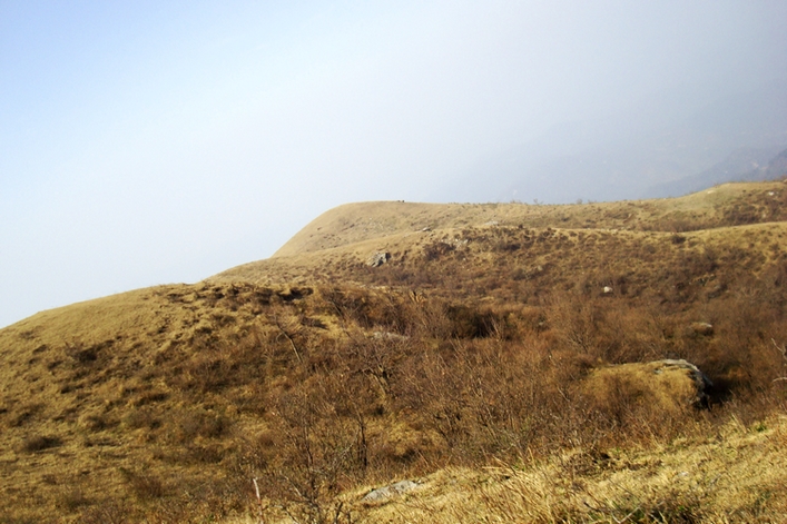 dsc09449.jpg