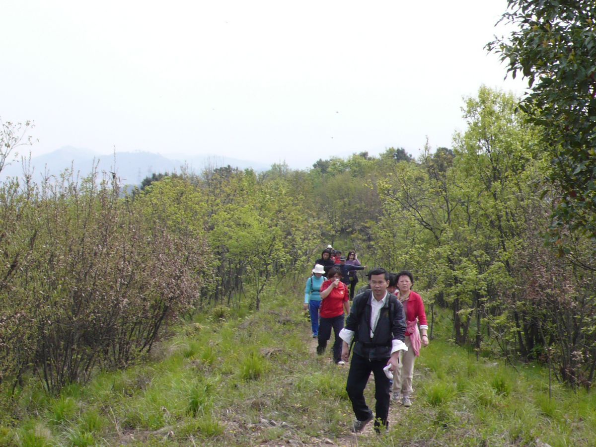 l1100172.jpg