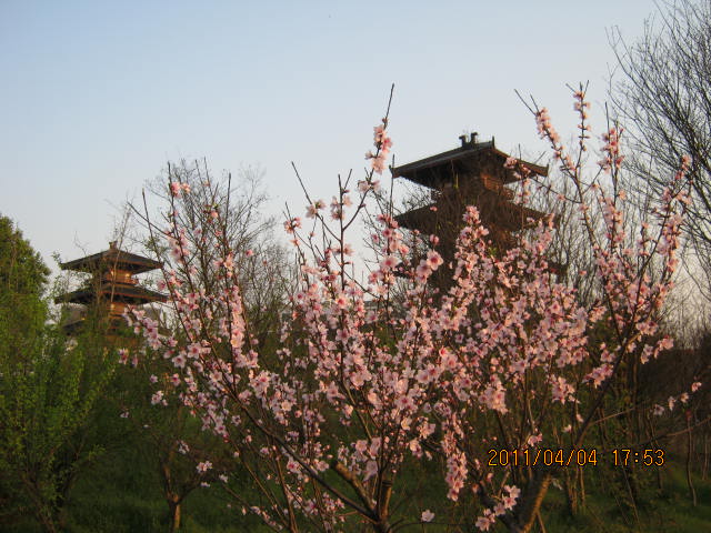 img_1876.jpg