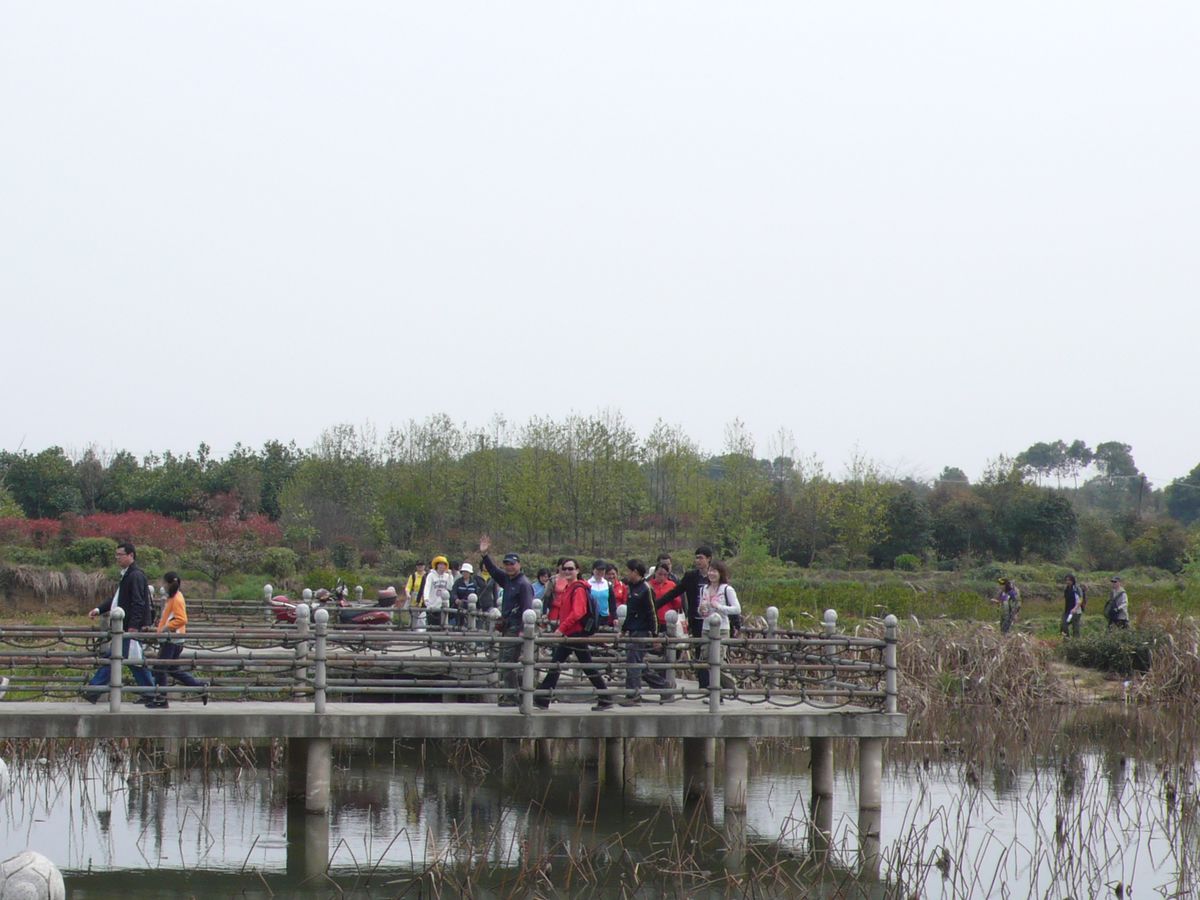 l1100200.jpg