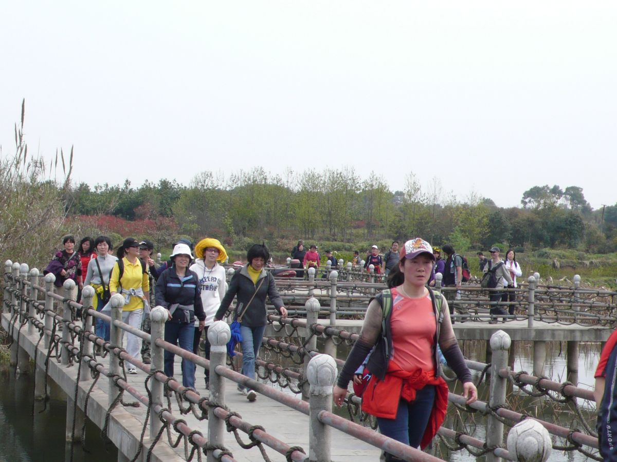 l1100204.jpg