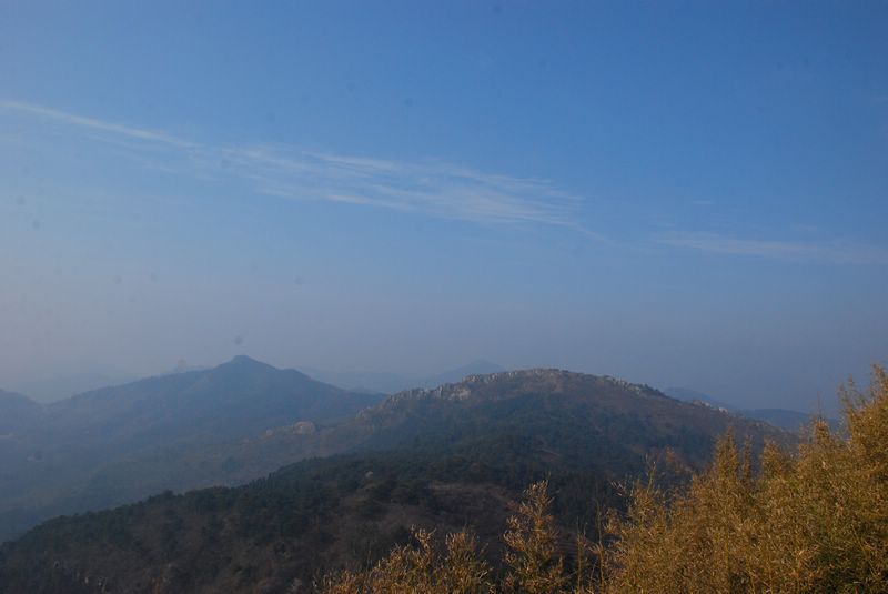 dsc_2005.jpg