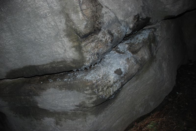 dsc_1985.jpg
