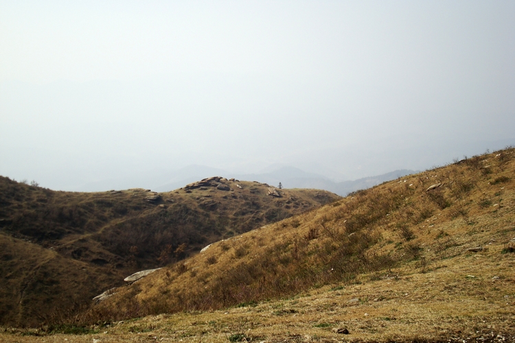 dsc09454.jpg
