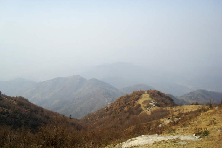 dsc09455.jpg