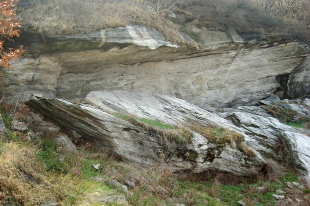 dsc09456.jpg