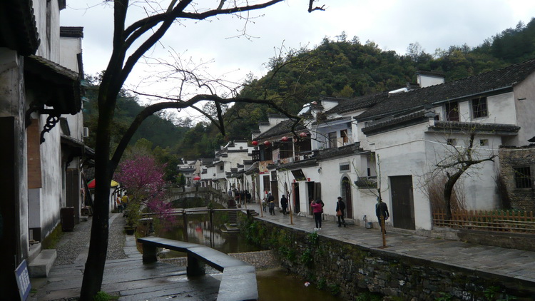 p1100854.jpg