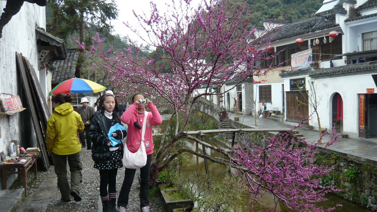 p1100860.jpg