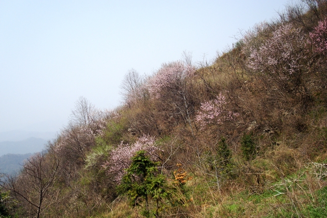 dsc09486.jpg