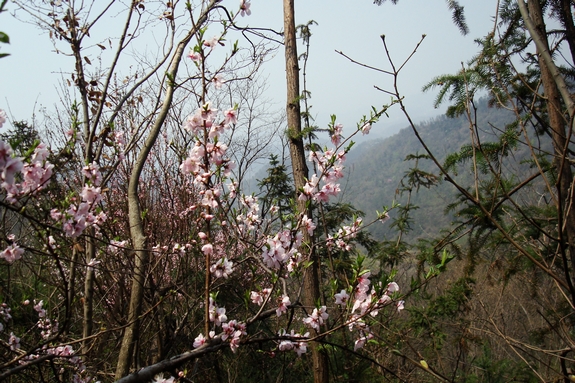dsc09503.jpg