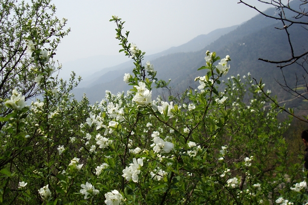 dsc09510.jpg