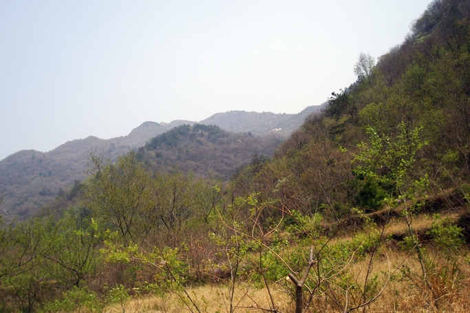 dsc09514.jpg