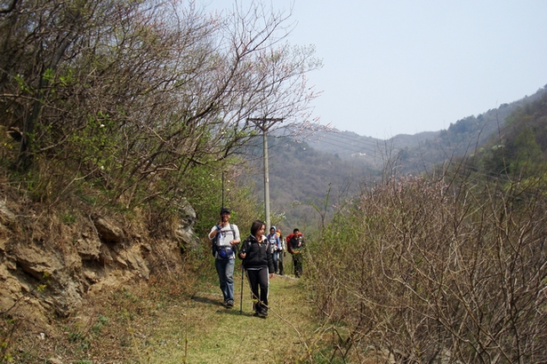 dsc09519.jpg