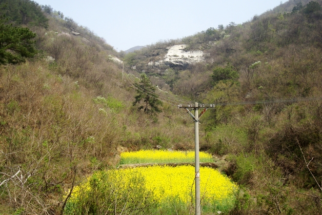 dsc09520.jpg