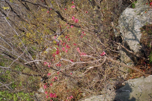 dsc09507.jpg