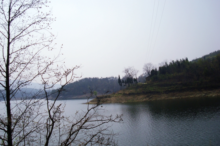 dsc09544.jpg
