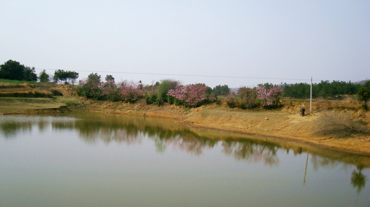 dsc09585.jpg