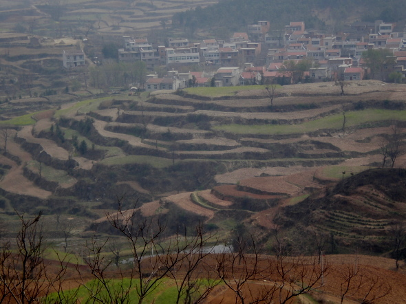 20110405_01.jpg