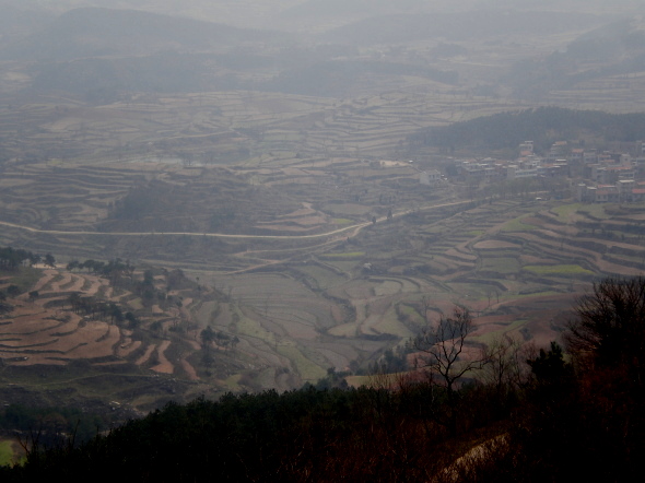 20110405_04.jpg