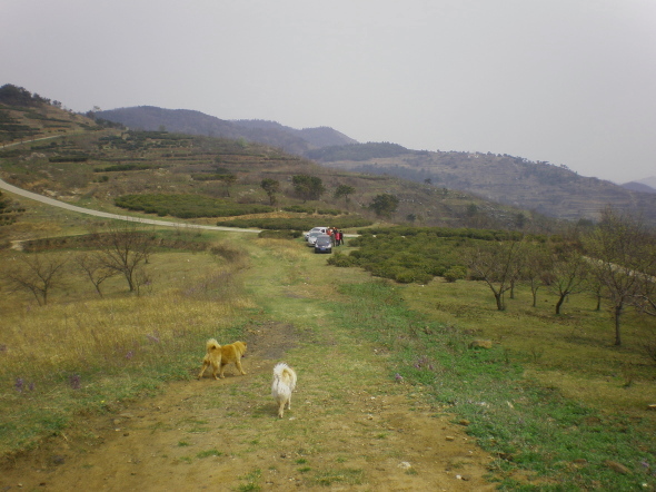  20110405_06.jpg